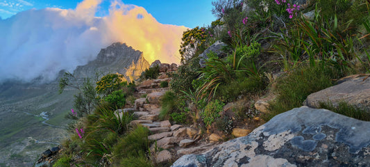 Hiking Season Is Back in Cape Town